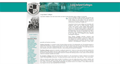 Desktop Screenshot of longislandcolleges.com